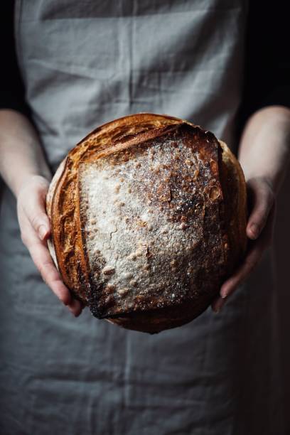 Freshly baked organic sourdough bread Sourdough bread in hands baking bread stock pictures, royalty-free photos & images