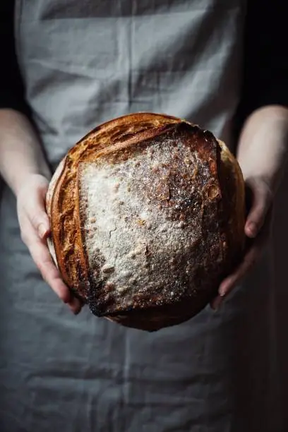 Sourdough bread in hands