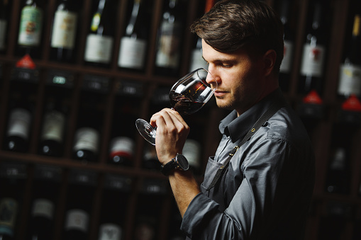 Sommelier smelling flavor of red wine in bokal on background of shelves with bottles in cellar. Male appreciating color, quality and sediments of drink. Professional degustation expert in winemaking.