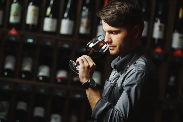 Photo of Bokal of red wine on background, male sommelier appreciating drink