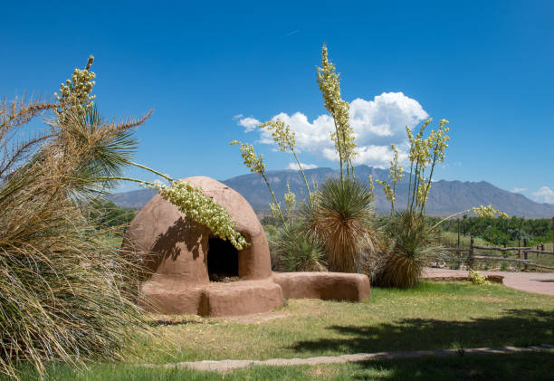 Horno Clay Oven with Yucca Blooms and Mountains. Southwestern Horno Adobe Clay Oven with Yucca Blooms, Blue Sky, Clouds  and Mountains. stove oven adobe outdoors stock pictures, royalty-free photos & images