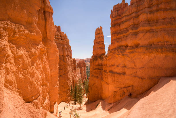 istock landscape on the bryce canyon 1062521482