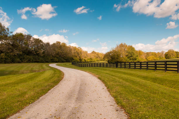Country road along horse farms. stock photo