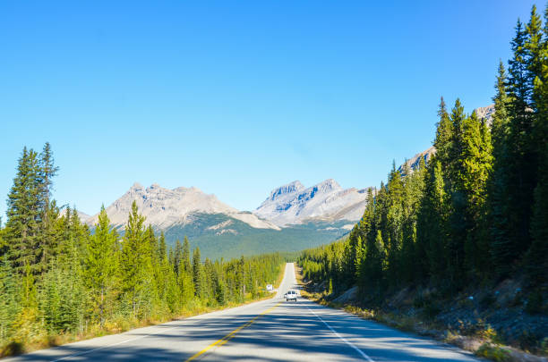 istock The Icefields Parkway in Autumn, Canadian Rockies, Alberta, Canada 1062531966