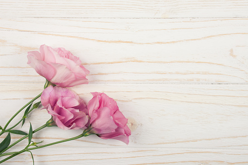 Beautiful pink lisianthus (eustoma) flowers on a white wooden background, retro style (copy space, top view)