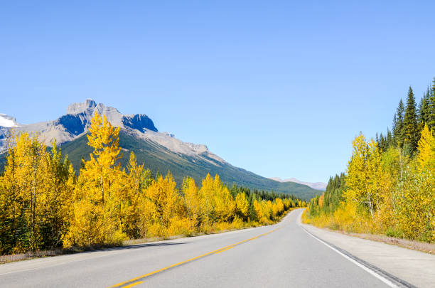 istock The Icefields Parkway in Autumn, Canadian Rockies, Alberta, Canada 1062535036