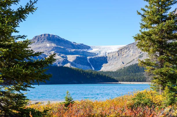 bow lake con foglie autunnali e bow glacier, banff national park, canadian rockies, alberta, canada - bow lake foto e immagini stock