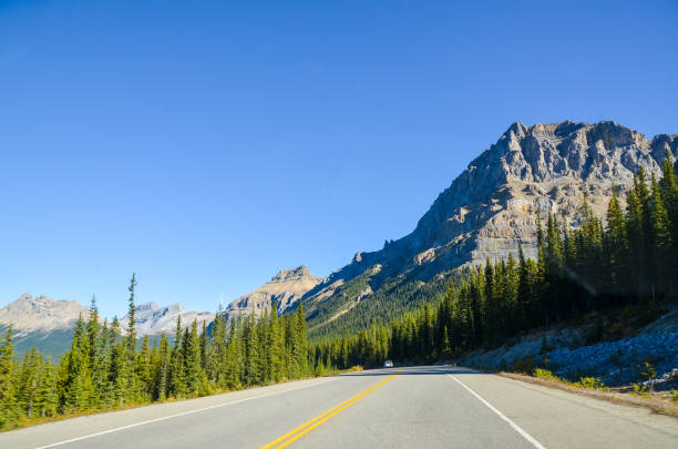 istock The Icefields Parkway in Autumn, Canadian Rockies, Alberta, Canada 1062536330