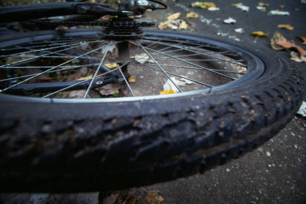 istock Bicycle rear wheel at cycling lane 1062536362