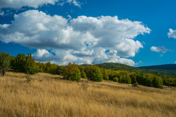 Beatuful lanscape with hills and blue sky of Eastern Serbia