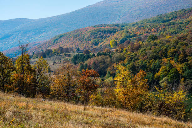 istock Mountain landscape woods,hills, clouds and sky, Serbia 1062540918