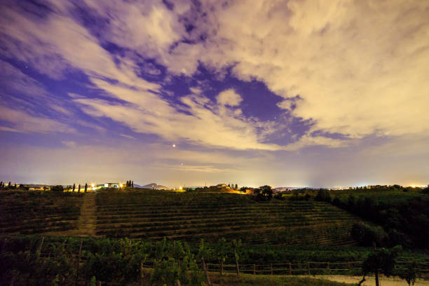 istock Evening in the vineyard of Rosazzo during a moon eclipse 1062542240