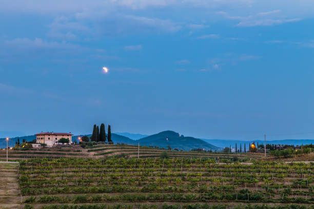 istock Evening in the vineyard of Rosazzo during a moon eclipse 1062542272
