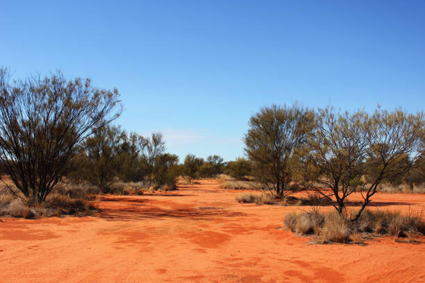 istock Land of red clay 1062545824