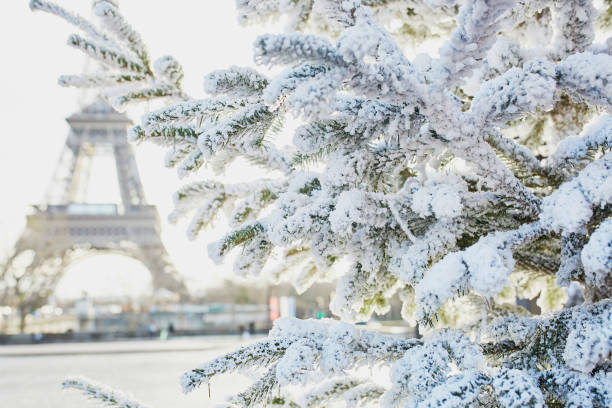 istock Christmas tree covered with snow near Eiffel tower 1062557146