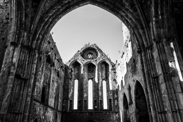 istock Rock of Cashel - B&W 1062562938