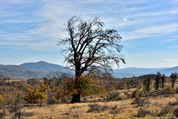 Landscape with Mountain Rtanj in the background, Rtanj, mountain in Serbia
