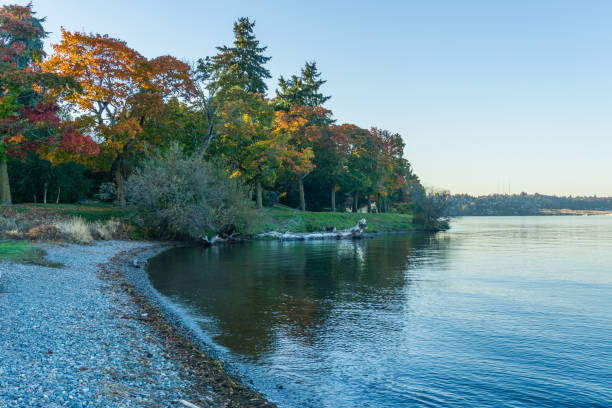 istock Lake Washington Autumn Colors 4 1062569764