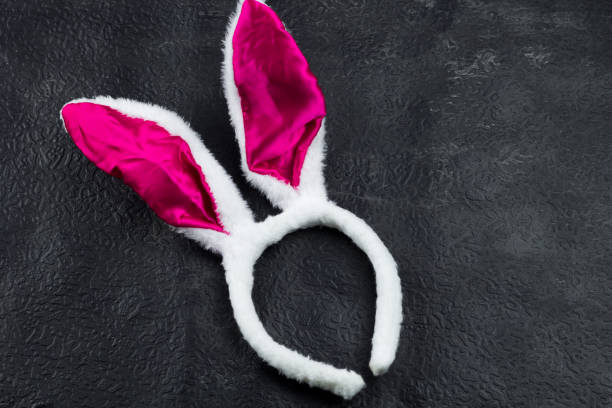 vista superior de gracioso conejito blanco de orejas - bunny girl fotografías e imágenes de stock