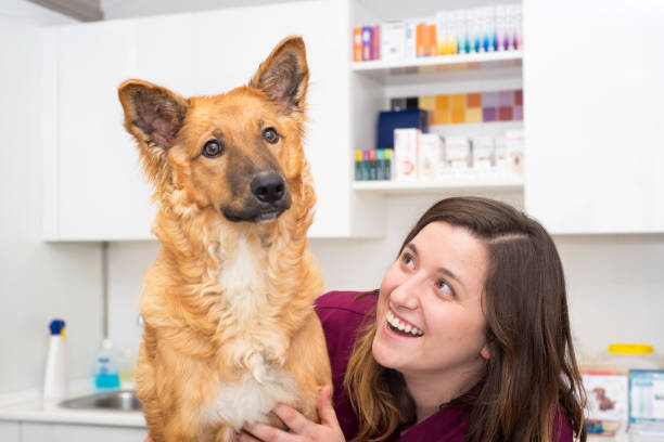 istock Doctor at the veterinary clinic hugging a beautiful dog 1062575308
