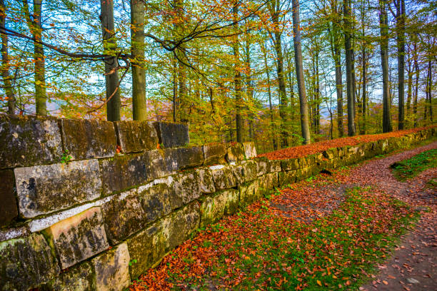 istock Ruis of Sarmizegetusa Regia 1062576786