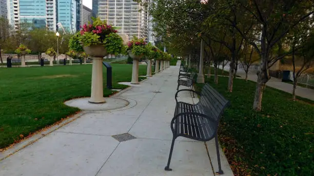 Park In The City With Flowers In The Gardeners Early In The Morning