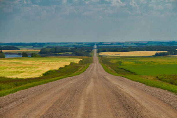 istock A Straight Dirt Road into the Plains 1062578860