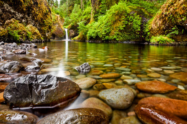 bowle fällt entlang der eagle creek trail in oregon mit fokus auf den felsen im vordergrund - water river waterfall stream stock-fotos und bilder