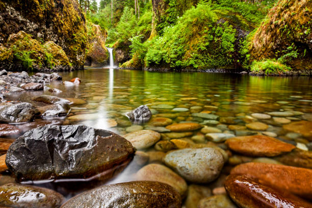 Punch Bowl Falls along the Eagle Creek Trail in Oregon with focus on the rocks in the foreground Punch Bowl Falls along the Eagle Creek Trail in Oregon with focus on the rocks in the foreground landscape stream autumn forest stock pictures, royalty-free photos & images