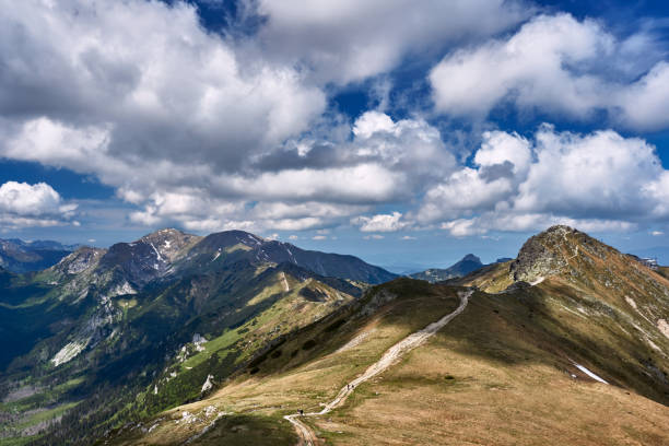 istock Grassy ridge in the Tatra Mountains 1062589848