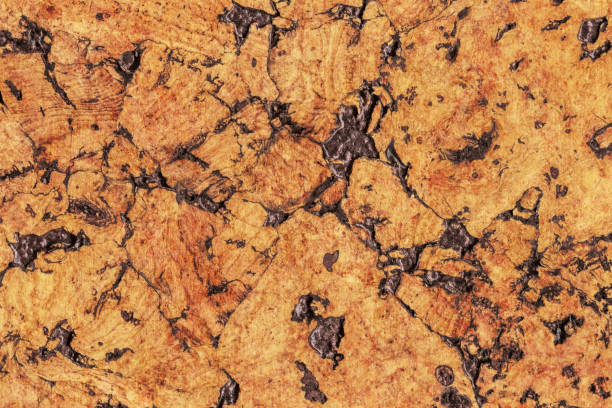 istock Natural Brown Cork Coarse Grain Texture Detail 1062590158