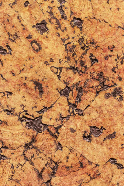 Natural Brown Cork Coarse Grain Texture Detail