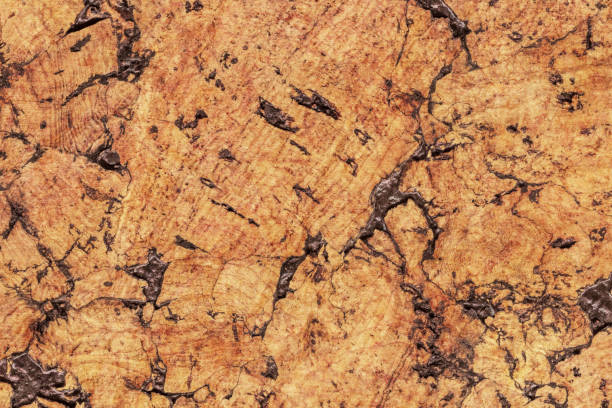 istock Natural Brown Cork Coarse Grain Texture Detail 1062590270