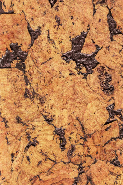 istock Natural Brown Cork Coarse Grain Texture Detail 1062591374