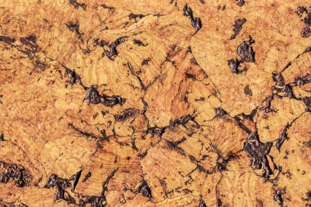 istock Natural Brown Cork Coarse Grain Texture Detail 1062591376