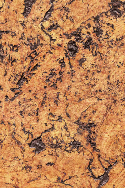 istock Natural Brown Cork Coarse Grain Texture Detail 1062591564