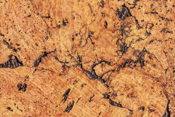 istock Natural Brown Cork Coarse Grain Texture Detail 1062591834