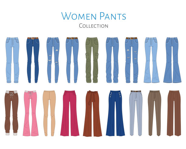 Women's pants collection, vector  illustration. Women's pants collection, vector  illustration. Different styles of blue jeans, sweat pants, business formal pants, wide pants and leggings, isolated on white background. flare pants stock illustrations