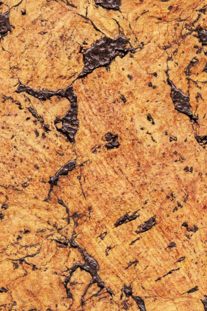 istock Natural Brown Cork Coarse Grain Texture Detail 1062591932