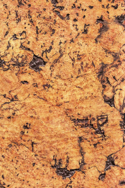 istock Natural Brown Cork Coarse Grain Texture Detail 1062592174
