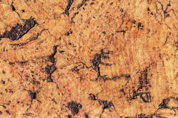 istock Natural Brown Cork Coarse Grain Texture Detail 1062592176