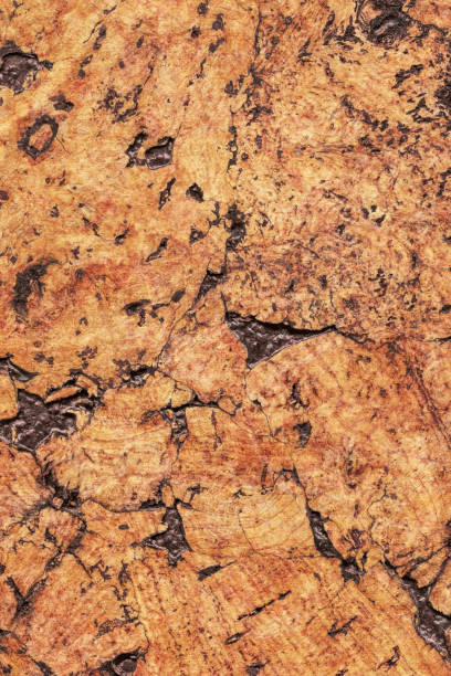 istock Natural Brown Cork Coarse Grain Texture Detail 1062592292