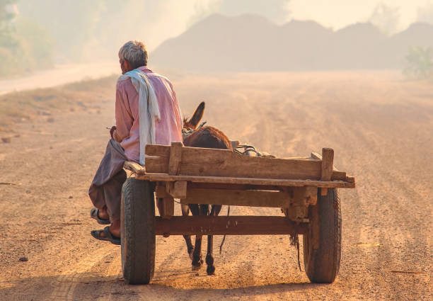Donkey carriage cart and its driver, an old man of Pakistan