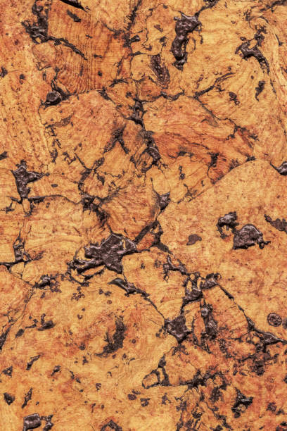 istock Natural Brown Cork Coarse Grain Texture Detail 1062592410