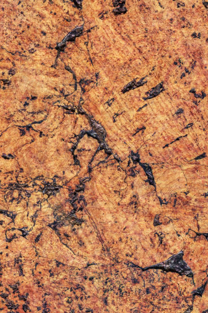 istock Natural Brown Cork Coarse Grain Texture Detail 1062592424