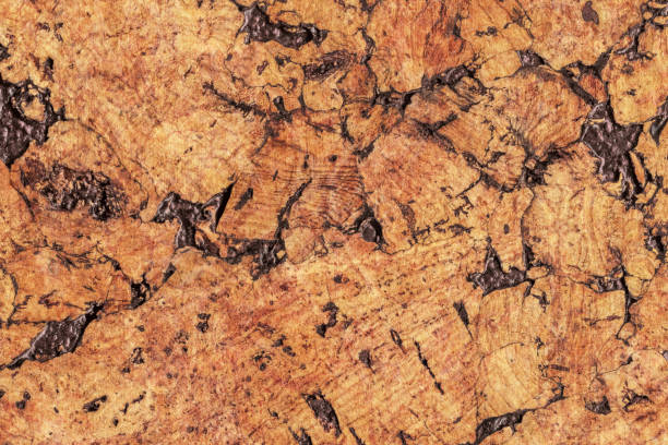istock Natural Brown Cork Coarse Grain Texture Detail 1062592540