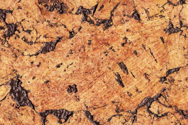 istock Natural Brown Cork Coarse Grain Texture Detail 1062592542