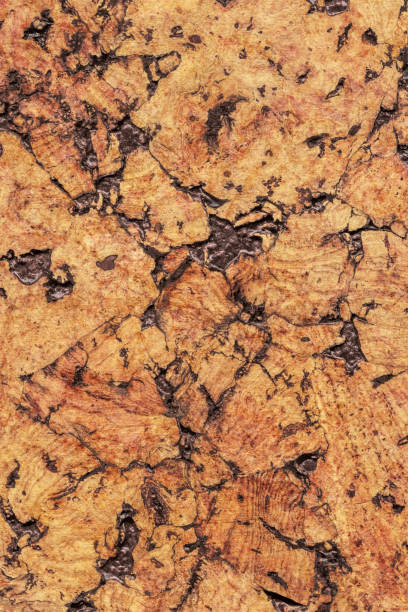 istock Natural Brown Cork Coarse Grain Texture Detail 1062593712