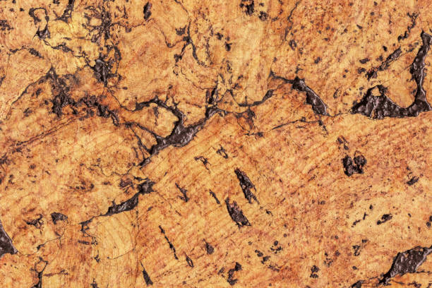 istock Natural Brown Cork Coarse Grain Texture Detail 1062593916