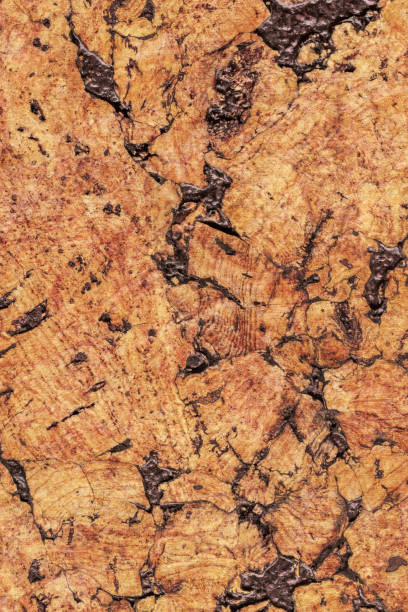 istock Natural Brown Cork Coarse Grain Texture Detail 1062593950